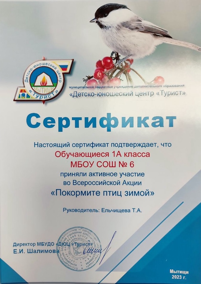 Птицы